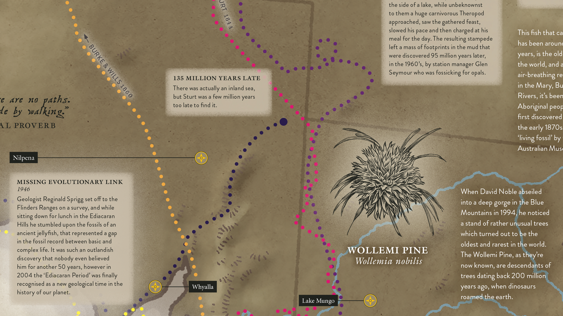 Map detail - Wollemi Pine