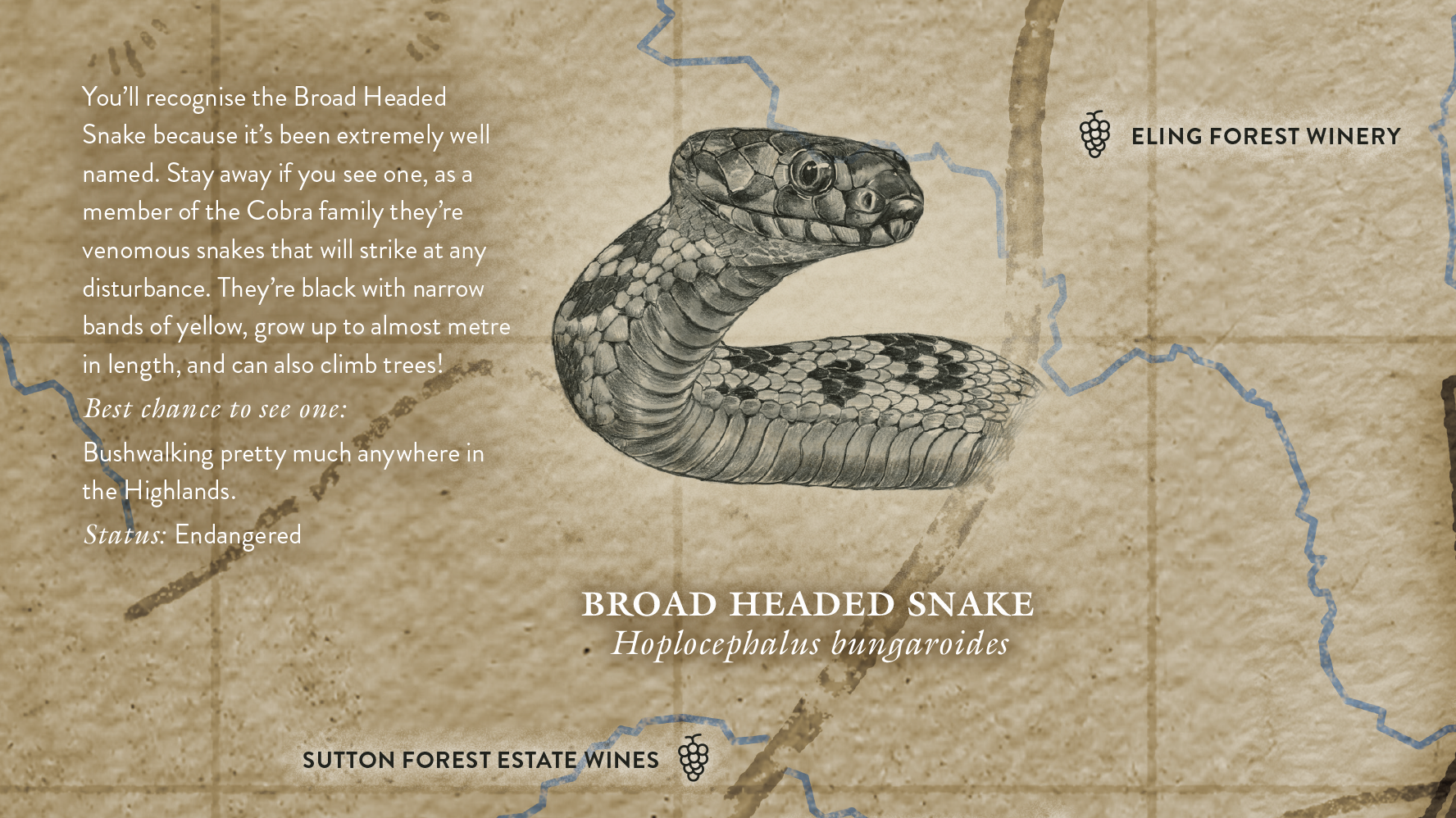 Map detail - Broad Headed Snake